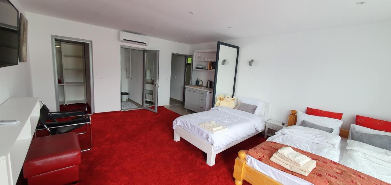 Modern Rooms Colibiţa Dış mekan fotoğraf