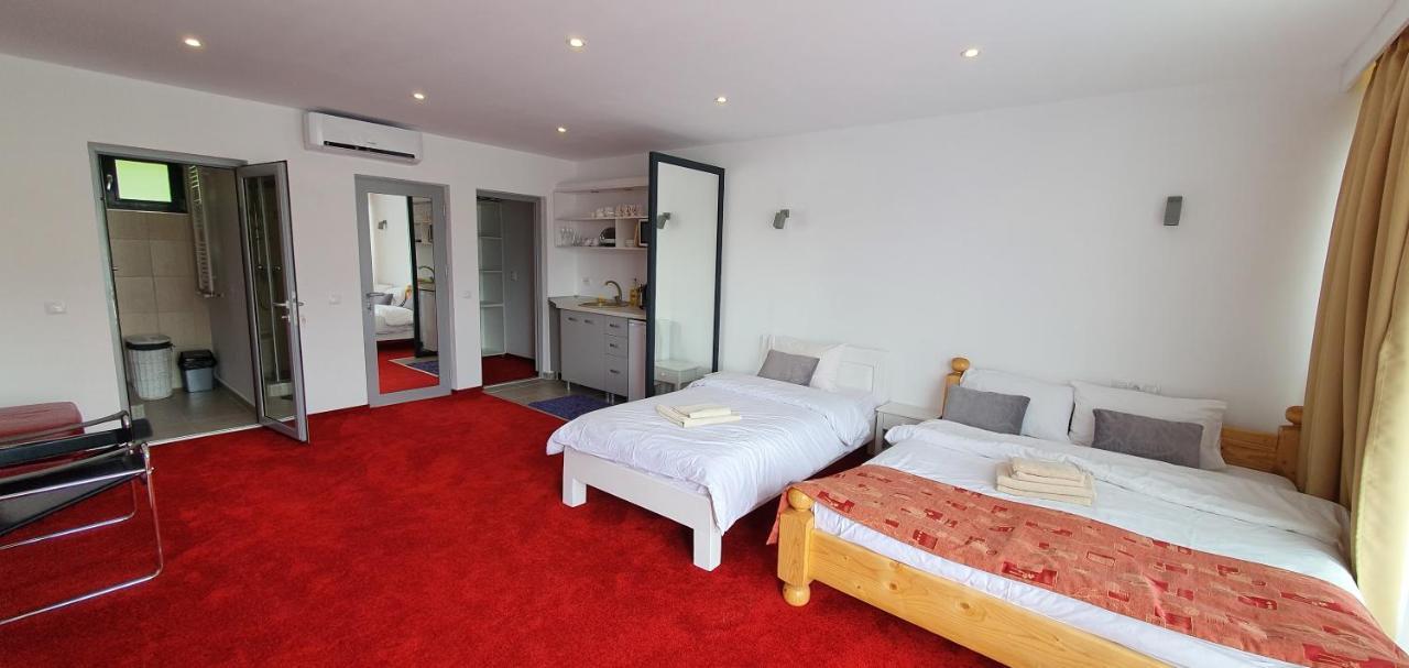 Modern Rooms Colibiţa Dış mekan fotoğraf