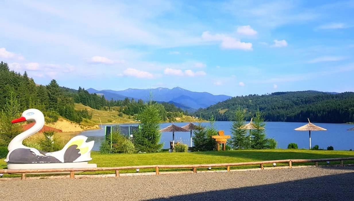 Modern Rooms Colibiţa Dış mekan fotoğraf
